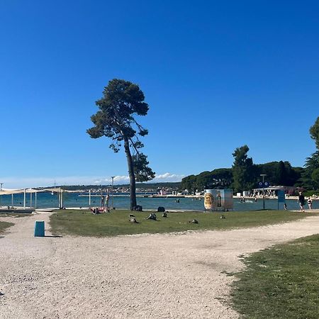 Studio Apartments With Terrace Near Sea - Angela'S Apartments Zadar Exteriör bild